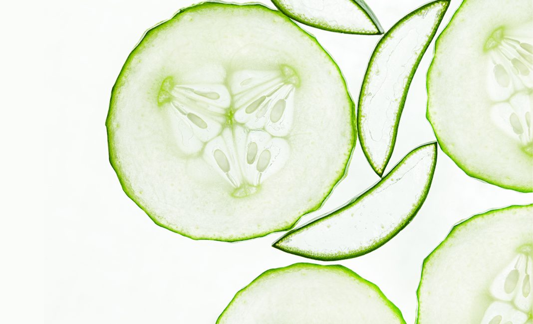 Why Cucumber & Aloe Vera Are You r Skin’s Best Friend